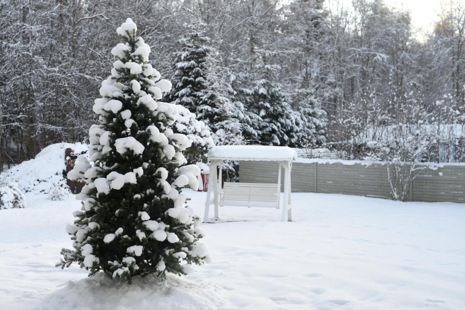 Moonlight House Large With Sauna And Free Parking * Rovaniemi