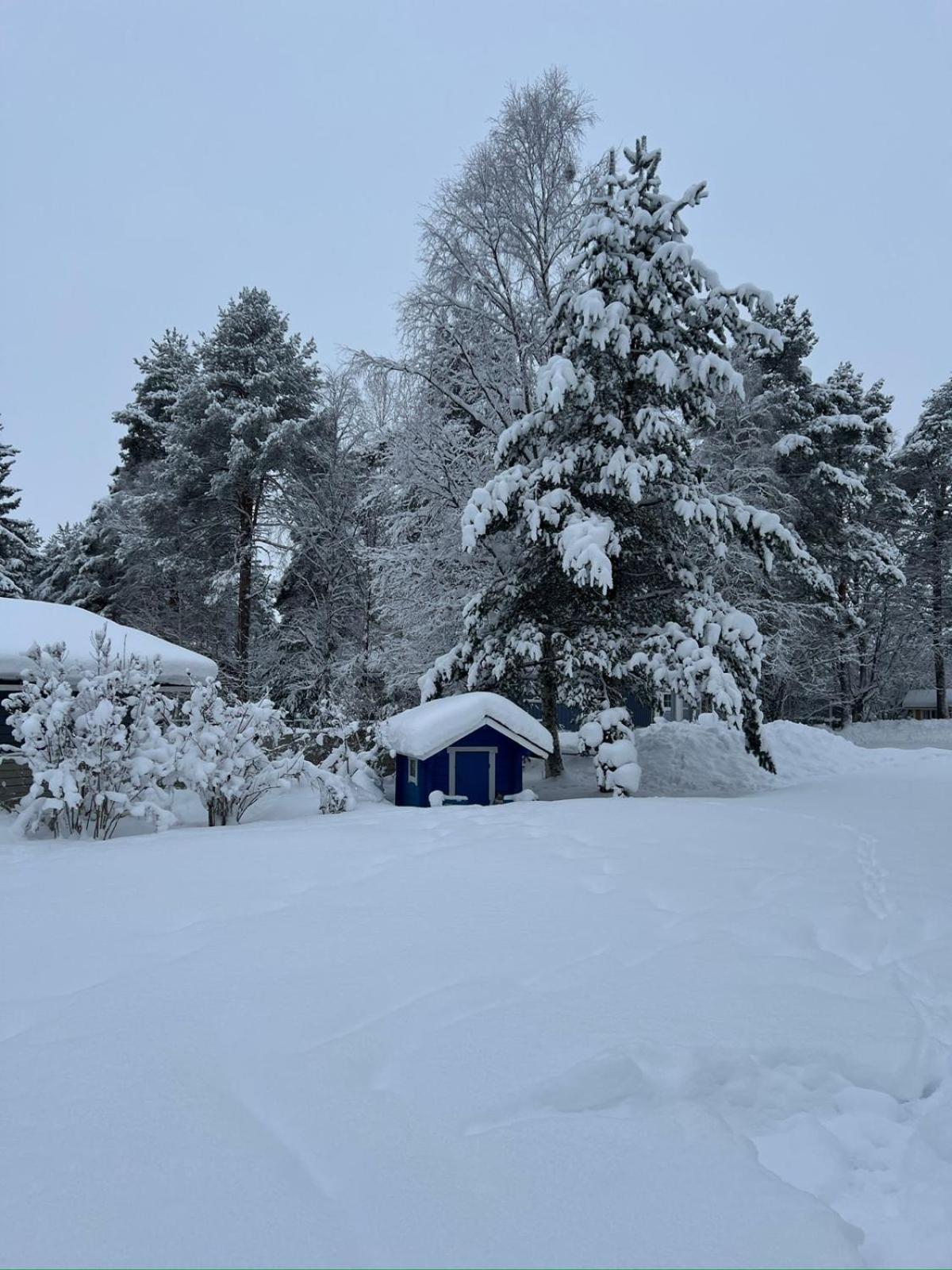 Moonlight House Large With Sauna And Free Parking Hébergement de vacances